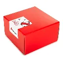 panettone-color-medici-senza-frontiere-02.webp